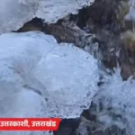 हिमालय सफेद, मैदान धुंध में डूबे: कश्मीर-हिमाचल बर्फबारी, यूपी में शून्य विजिबिलिटी, अलवर में फसलों पर जमी ओस