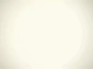 Alliance to remove the dictator... then lifelong enmity! The hidden drama in Bangladesh election series Part-2